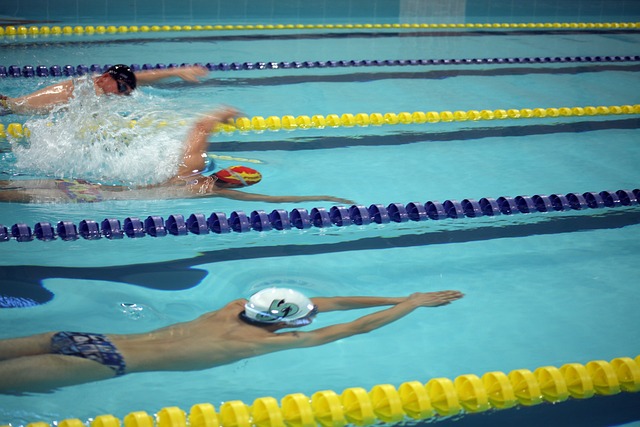 创作还是S 创作还是S