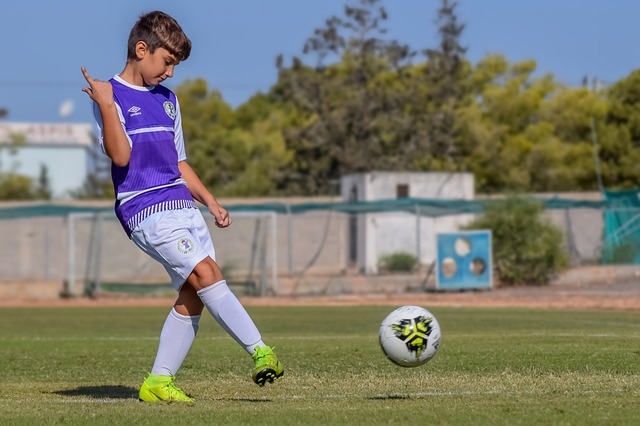 种寻求更好 种寻求更好