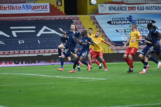 梅尔滕斯不 梅尔滕斯不