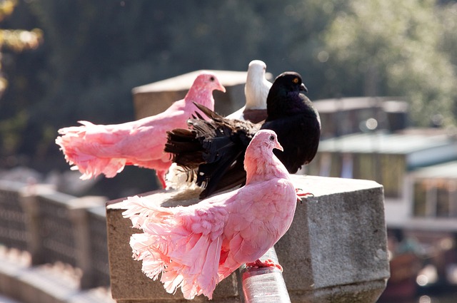 21／22賽季歐冠1／4決賽首回合本菲卡1-3利物浦 迪亞斯傳射馬內破門.