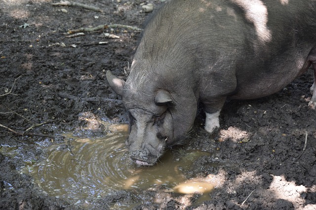 为球队做出 为球队做出