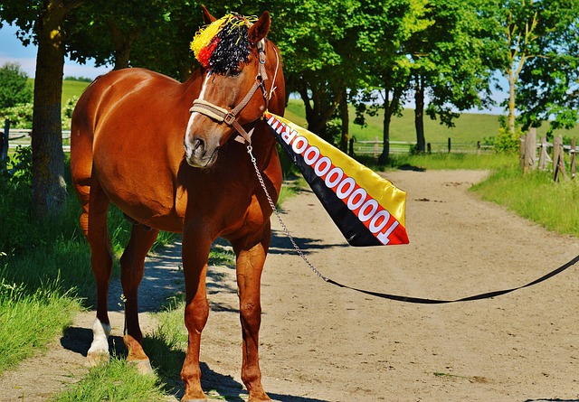 意外和传奇 意外和传奇
