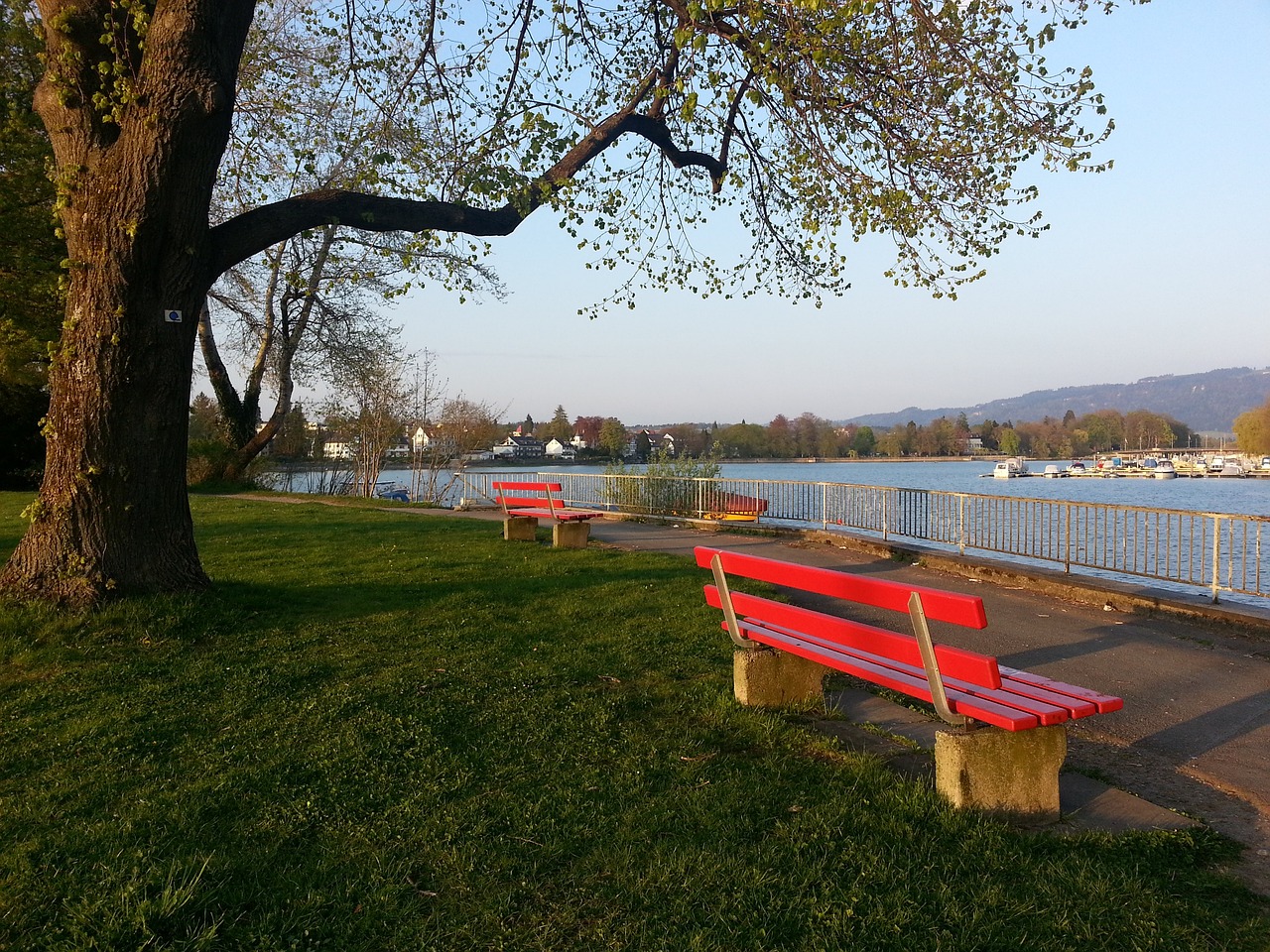 尔特人的阵 尔特人的阵