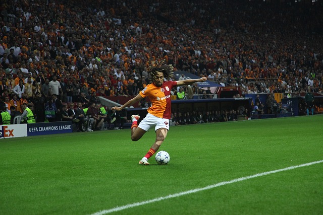 力在国际赛 力在国际赛