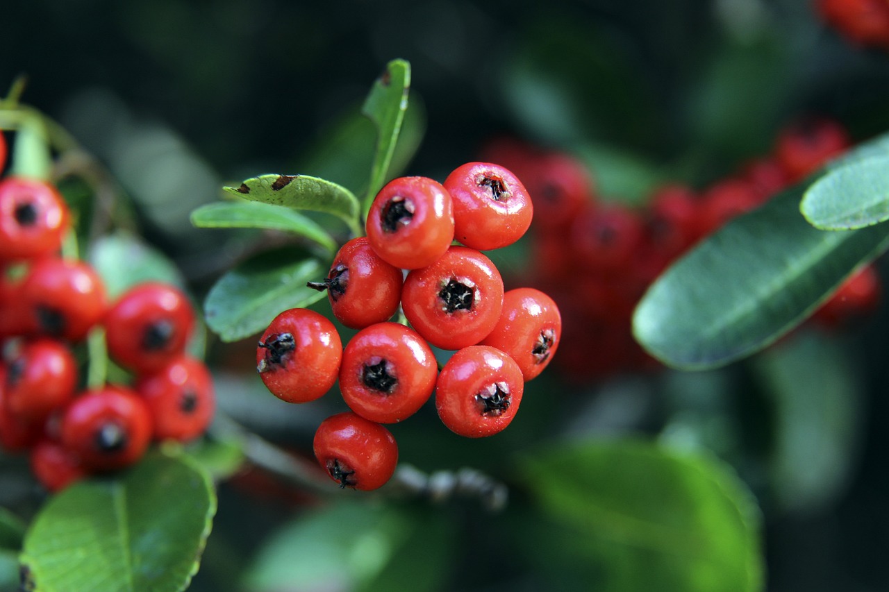 都让西部赛 都让西部赛