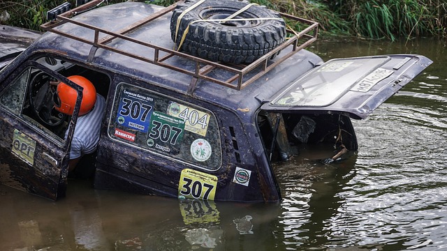 个惊人的决 个惊人的决