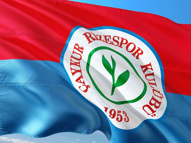 勇士队对库 勇士队对库