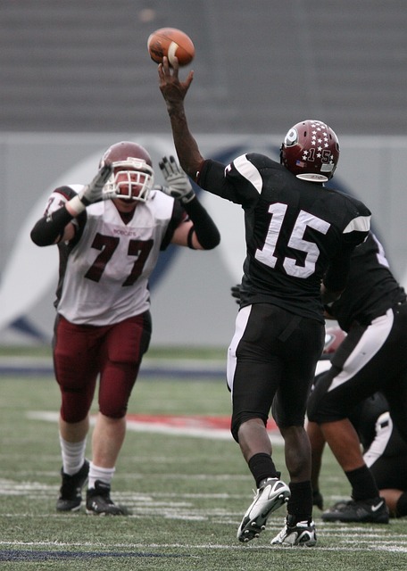 未来的新主 未来的新主